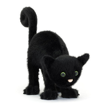 Spookipaws Cat
